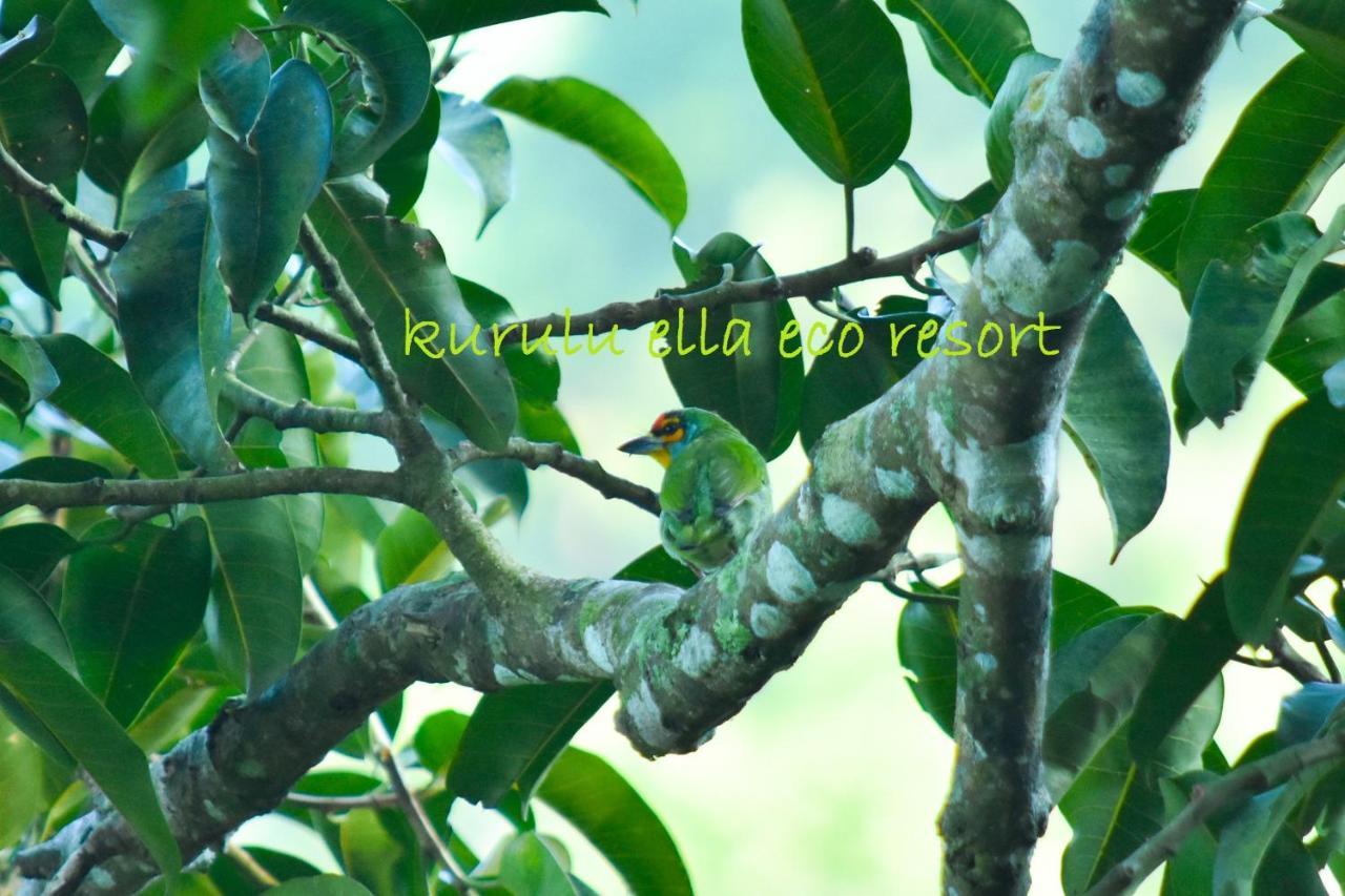 Sinharaja Kurulu Ella Eco Resort Денияйя Экстерьер фото