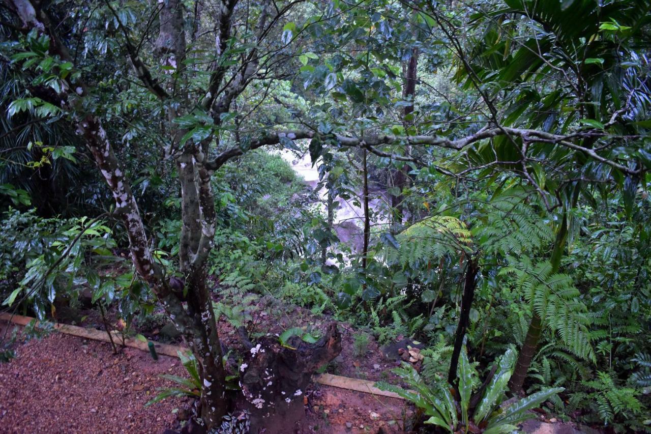 Sinharaja Kurulu Ella Eco Resort Денияйя Экстерьер фото